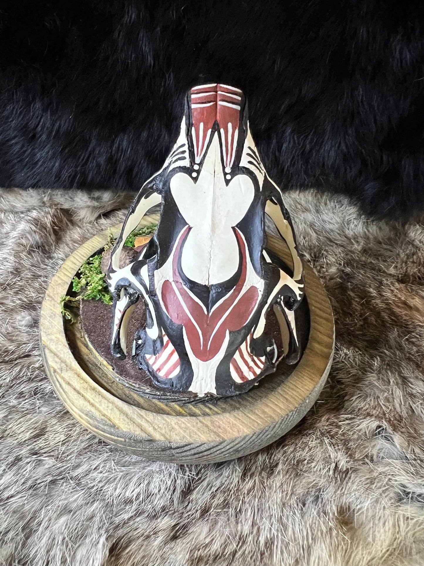 Diné (Navajo) Hand Painted Beaver Skull / Authentic Native American Art