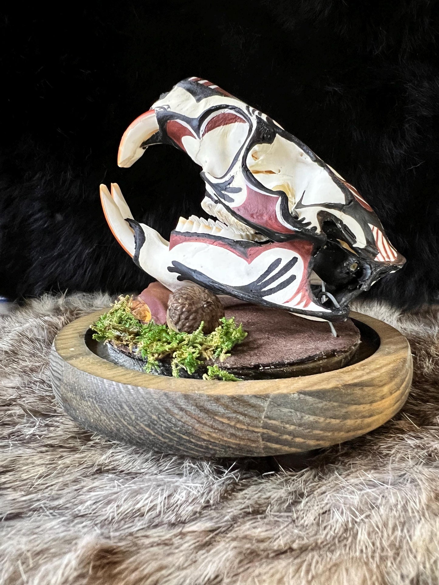 Diné (Navajo) Hand Painted Beaver Skull / Authentic Native American Art