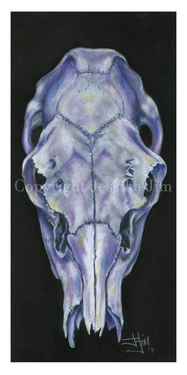 Purple Skull Art Print (11x17) / Authentic Native American Art