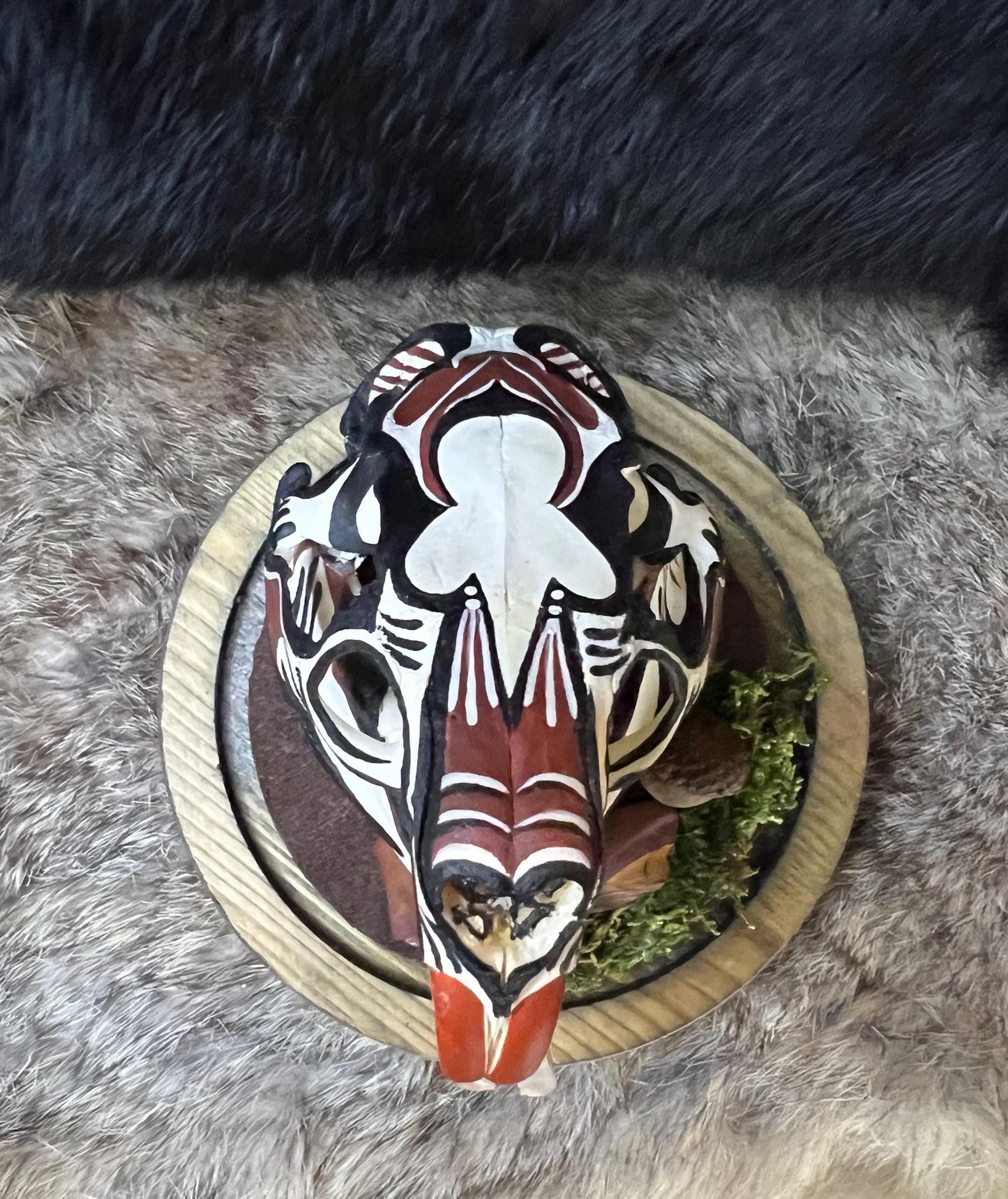 Diné (Navajo) Hand Painted Beaver Skull / Authentic Native American Art