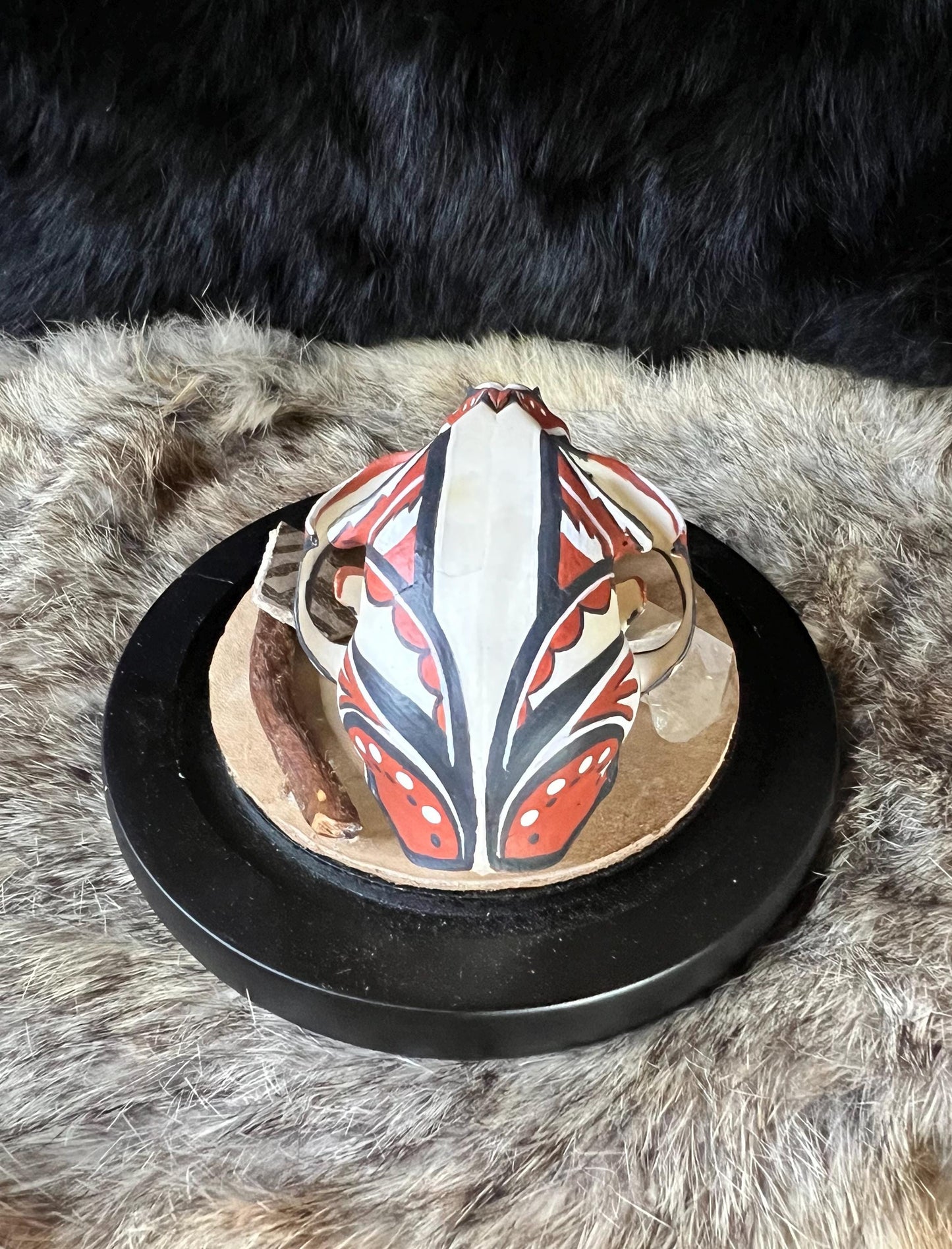 Diné / Navajo Hand Painted Bobcat Skull / Authentic Native American Art